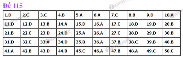 dap an de thi toan tot nghiep thpt nam 2022 ma de 115 dap an de thi toan tot nghiep thpt nam 2022 ma de 115