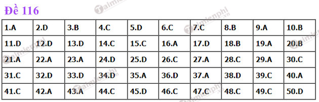 dap an de thi toan tot nghiep thpt nam 2022 ma de 116 dap an de thi toan tot nghiep thpt nam 2022 ma de 116