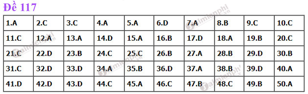 dap an de thi toan tot nghiep thpt nam 2022 ma de 117 dap an de thi toan tot nghiep thpt nam 2022 ma de 117