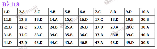 dap an de thi toan tot nghiep thpt nam 2022 ma de 118 dap an de thi toan tot nghiep thpt nam 2022 ma de 118