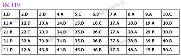 dap an de thi toan tot nghiep thpt nam 2022 ma de 119 dap an de thi toan tot nghiep thpt nam 2022 ma de 119
