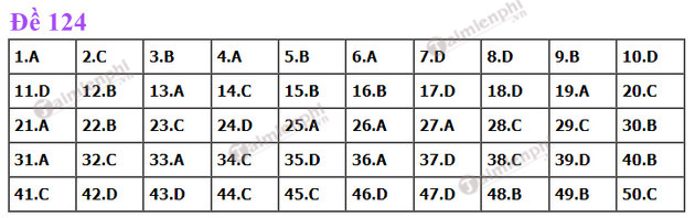 dap an de thi toan tot nghiep thpt nam 2022 ma de 124 dap an de thi toan tot nghiep thpt nam 2022 ma de 124