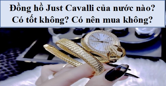 dong ho just cavalli cua nuoc nao co tot khong thumnail 11 dong ho just cavalli cua nuoc nao co tot khong thumnail 11