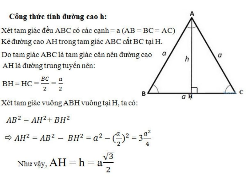 duong cao trong tam giac deu 6 duong cao trong tam giac deu 6