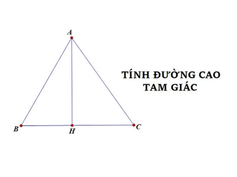 duong cao trong tam giac deu 9 1 duong cao trong tam giac deu 9 1