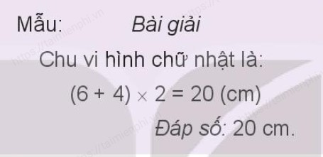 giai bai tap trang 22 23 24 25 sgk toan 3 tap 2 sach ket noi tri thuc voi cuoc song 5 giai bai tap trang 22 23 24 25 sgk toan 3 tap 2 sach ket noi tri thuc voi cuoc song 5