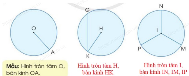 giai bai tap trang 24 25 sgk toan 3 tap 2 sach canh dieu 3 giai bai tap trang 24 25 sgk toan 3 tap 2 sach canh dieu 3