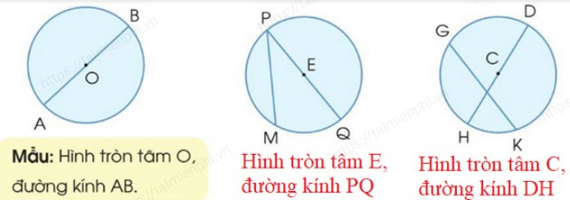 giai bai tap trang 24 25 sgk toan 3 tap 2 sach canh dieu 4 giai bai tap trang 24 25 sgk toan 3 tap 2 sach canh dieu 4