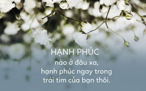 Hạnh phúc ở xung quanh ta