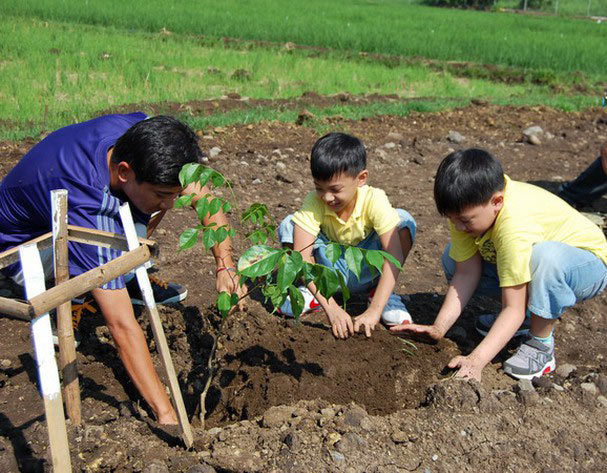 Hình ảnh trồng cây xanh bảo vệ môi trường xanh, sạch, đẹp