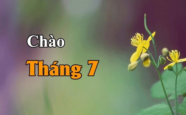 hinh anh dep thang 7 10 hinh anh dep thang 7 10