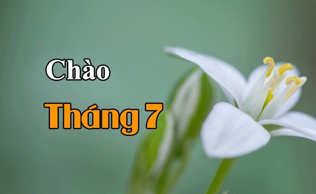 hinh anh dep thang 7 18 hinh anh dep thang 7 18