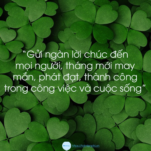 chúc mừng sinh nhật