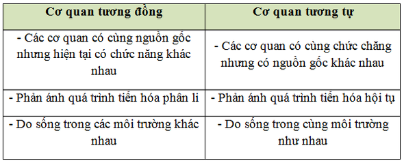 Bài 24 - TỰ HỌC SINH HỌC 12