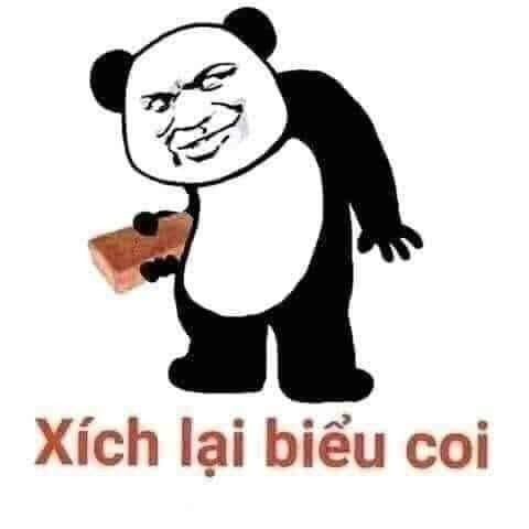 Hình ảnh meme gấu trúc hài hước, tức giận 2