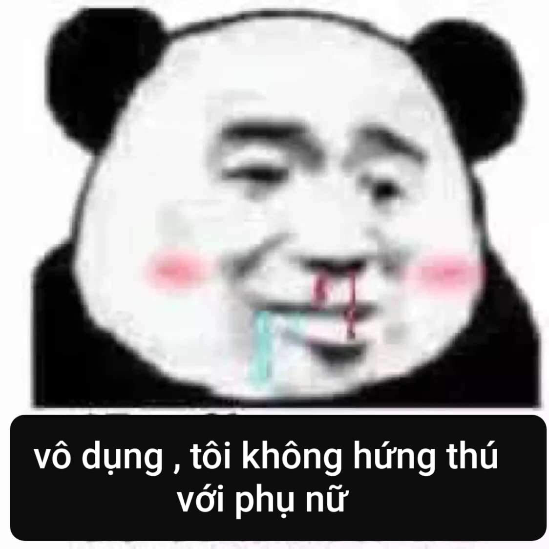 Hình ảnh meme gấu trúc hài hước, tức giận 6