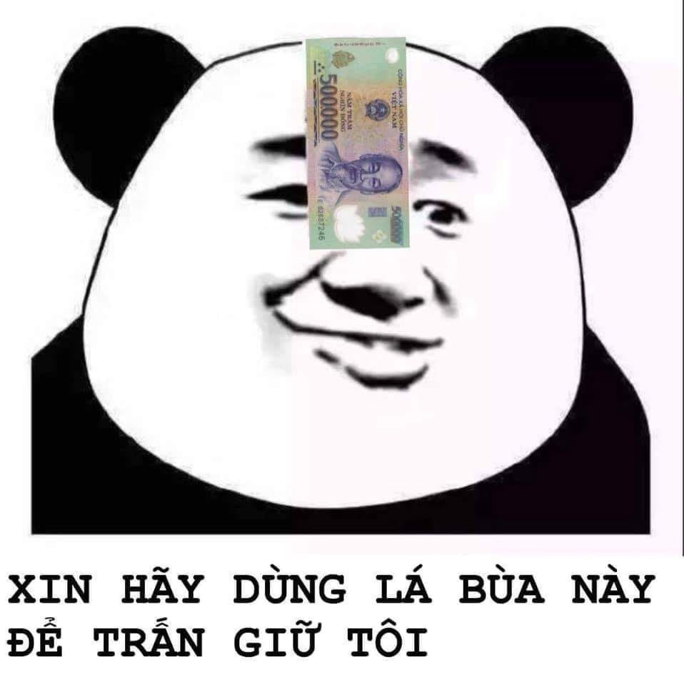 Hình ảnh meme gấu trúc hài hước, tức giận 11