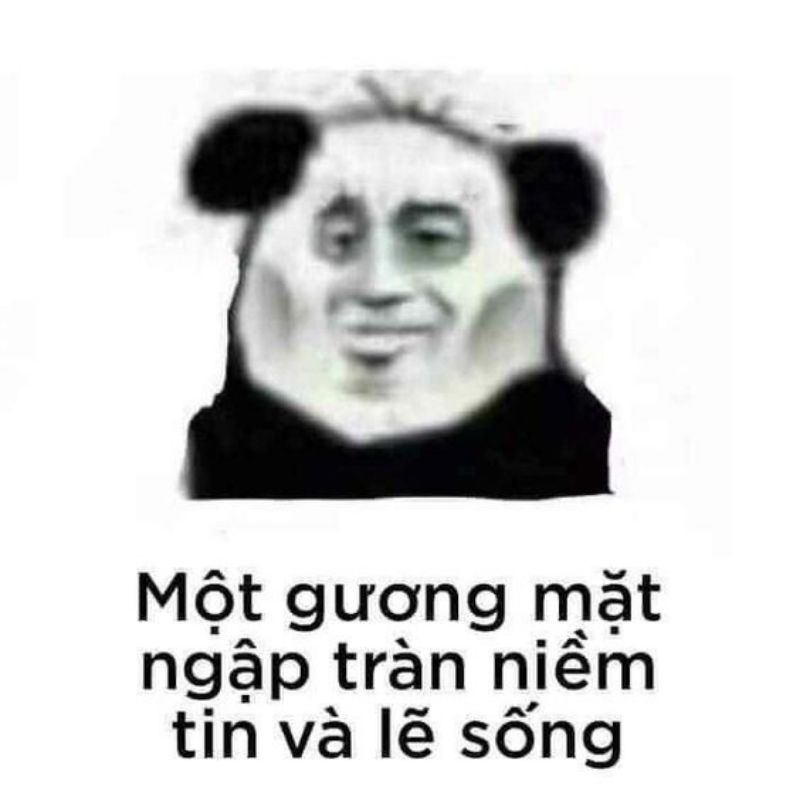 Meme gấu trúc đẹp, đáng yêu 5