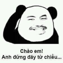 Meme gấu trúc đẹp, đáng yêu 7