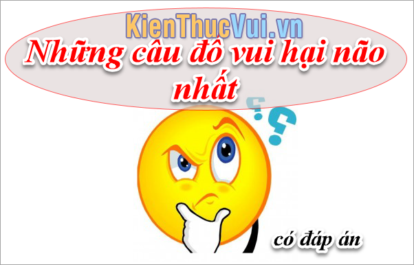 nhung cau do vui hai nao nhat kem dap an nhung cau do vui hai nao nhat kem dap an