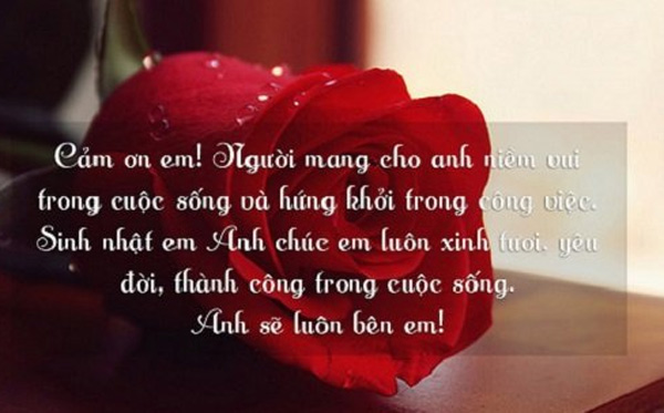 lời chúc mừng sinh nhật cho con trai