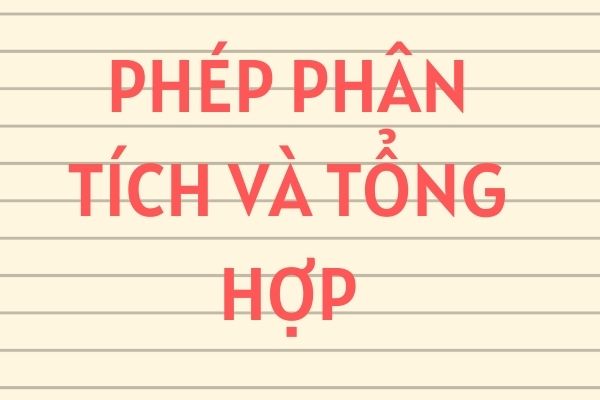 Phép Phân Tích Và Tổng Hợp Là Gì? - Vai Trò Khi Làm Bài Văn - Thư viện khoa  học