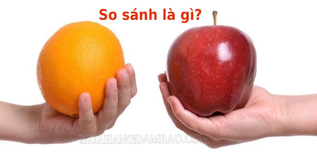 Phép so sánh là gì? Có mấy loại? Cho ví dụ và bài tập áp dụng