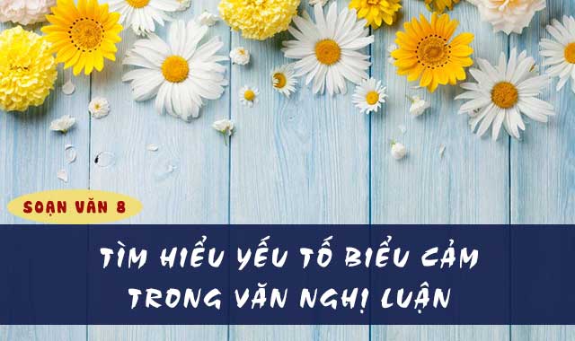 Giáo án yếu tố biểu cảm trong văn nghị luận