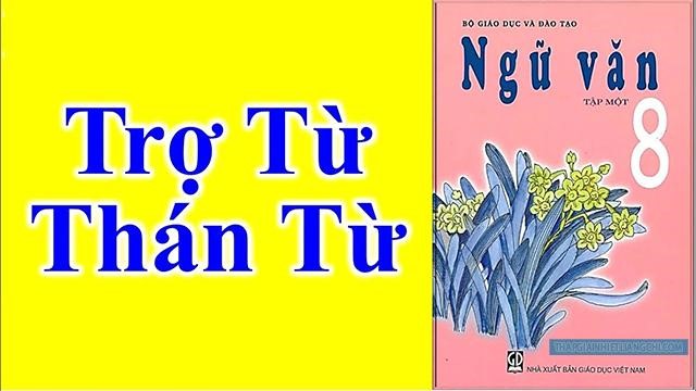 Thán từ là gì? Trợ từ là gì? Phân biệt phó từ, trợ từ và thán từ