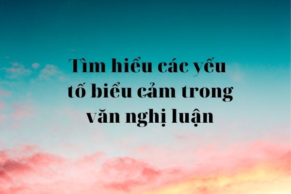 Yếu tố biểu cảm trong văn nghị luận là gì