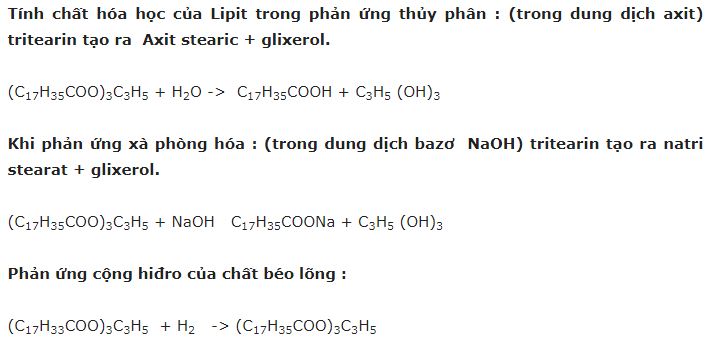 tinh chat hoa hoc lipit tinh chat hoa hoc lipit