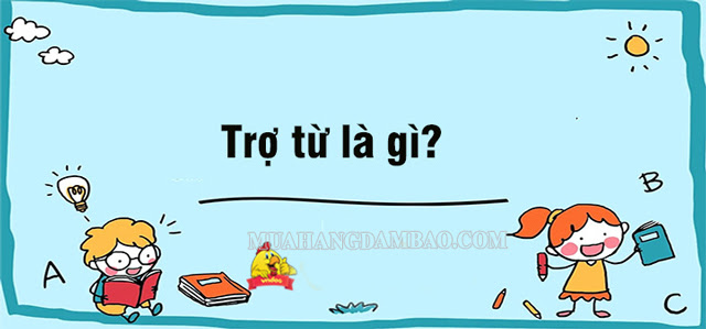 Trợ từ là gì? Thán từ là gì trong Tiếng Việt? cho ví dụ và bài tập áp dụng