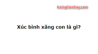 Xúc bình xăng con là gì? Câu trả lời đúng nhất!