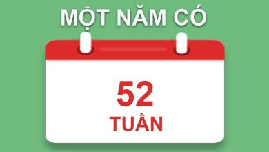 1 nam co bao nhieu tuan 390x220 1 1 nam co bao nhieu tuan 390x220 1