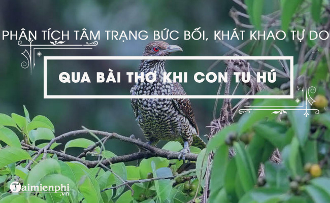 phan tich tam trang nguoi chien si trong bai khi con tu hu