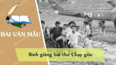 Binh giang bai tho Chay giac cua Nguyen Dinh Chieu 390x220 1 Binh giang bai tho Chay giac cua Nguyen Dinh Chieu 390x220 1