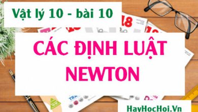 Cac dinh luat Niu ton Newton cong thuc va y nghia 390x220 1 Cac dinh luat Niu ton Newton cong thuc va y nghia 390x220 1