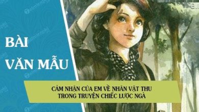 Cam nhan cua em ve nhan vat Thu trong truyen 390x220 1 Cam nhan cua em ve nhan vat Thu trong truyen 390x220 1