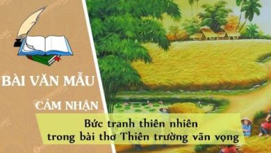 Cam nhan ve buc tranh thien nhien trong bai tho 390x220 1 Cam nhan ve buc tranh thien nhien trong bai tho 390x220 1