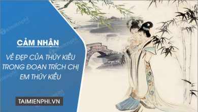 Cam nhan ve dep cua Thuy Kieu trong doan trich 390x220 2 Cam nhan ve dep cua Thuy Kieu trong doan trich 390x220 2