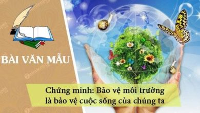 Chung minh bao ve moi truong la bao ve cuoc 390x220 1 Chung minh bao ve moi truong la bao ve cuoc 390x220 1