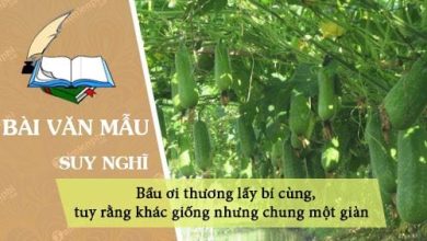 Chung minh cau ca dao Bau oi thuong lay bi 390x220 1 Chung minh cau ca dao Bau oi thuong lay bi 390x220 1