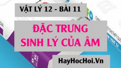 Dac trung sinh ly cua am la gi bao gom 390x220 1 Dac trung sinh ly cua am la gi bao gom 390x220 1