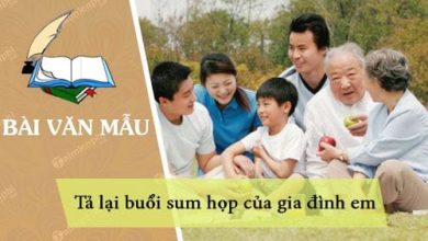 Dan y ta lai buoi sum hop cua gia dinh 390x220 1 Dan y ta lai buoi sum hop cua gia dinh 390x220 1