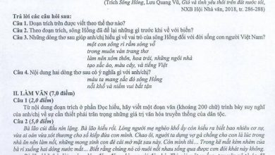 De tham khao 2022 mon Ngu Van De tham khao 390x220 1 De tham khao 2022 mon Ngu Van De tham khao 390x220 1