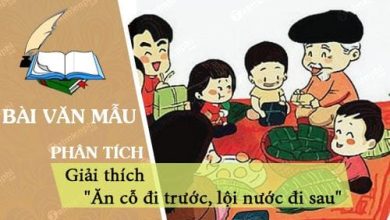 Giai thich cau An co di truoc loi nuoc di 390x220 1 Giai thich cau An co di truoc loi nuoc di 390x220 1