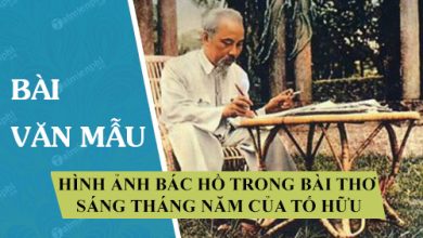 Hinh anh Bac Ho trong bai tho Sang thang nam 390x220 1 Hinh anh Bac Ho trong bai tho Sang thang nam 390x220 1