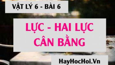 Luc la gi Hai luc can bang la gi co 390x220 1 Luc la gi Hai luc can bang la gi co 390x220 1