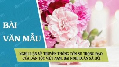 Nghi luan ve truyen thong ton su trong dao cua 390x220 1 Nghi luan ve truyen thong ton su trong dao cua 390x220 1