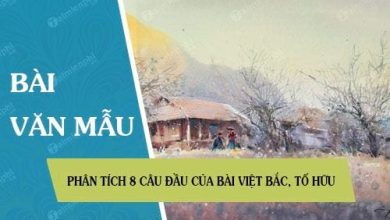 Phan tich 8 cau dau cua bai Viet Bac To 390x220 1 Phan tich 8 cau dau cua bai Viet Bac To 390x220 1